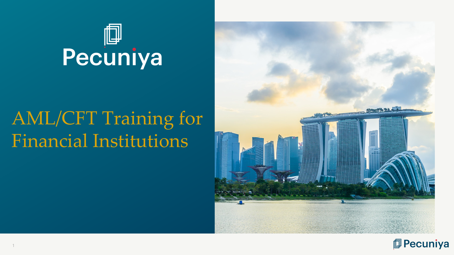 AML/CFT Training – Fund Managers – Singapore