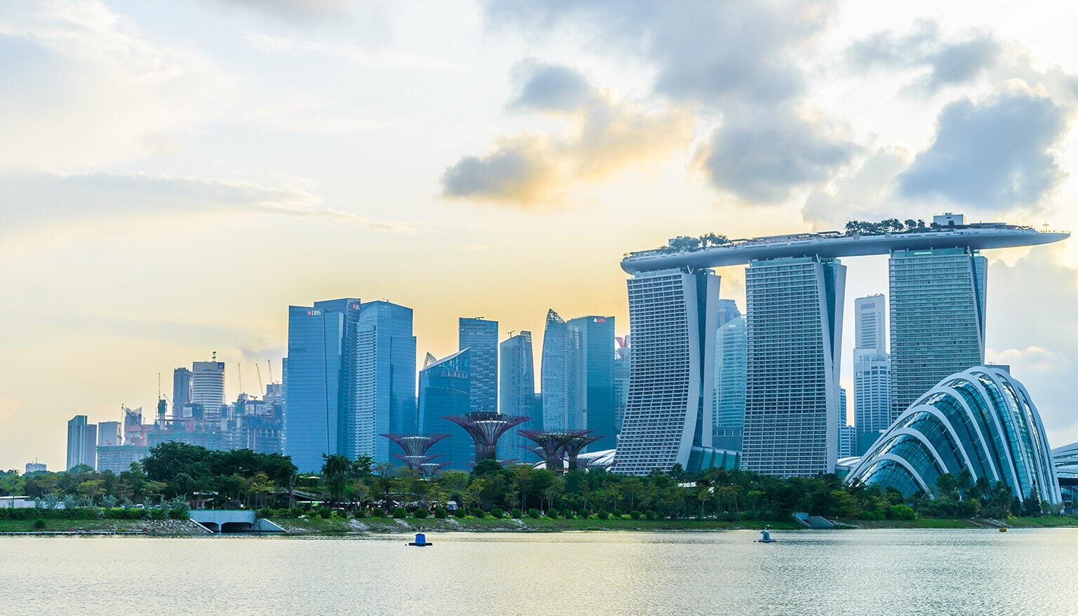 pecuniya-home-page-banner